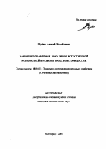 Развитие управления локальной естественной монополией в регионе на основе концессии - тема автореферата по экономике, скачайте бесплатно автореферат диссертации в экономической библиотеке