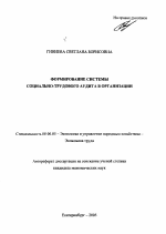 Формирование системы социально-трудового аудита в организации - тема автореферата по экономике, скачайте бесплатно автореферат диссертации в экономической библиотеке