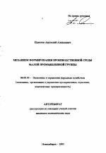 Механизм формирования производственной среды малой промышленной группы - тема автореферата по экономике, скачайте бесплатно автореферат диссертации в экономической библиотеке