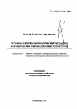 Организационно-экономический механизм формирования инновационных территорий - тема автореферата по экономике, скачайте бесплатно автореферат диссертации в экономической библиотеке