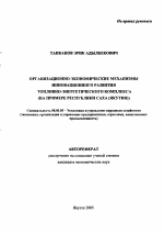 Организационно-экономические механизмы инновационного развития топливно-энергетического комплекса - тема автореферата по экономике, скачайте бесплатно автореферат диссертации в экономической библиотеке