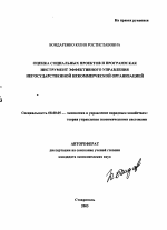 Оценка социальных проектов и программ как инструмент эффективного управления негосударственной некоммерческой организацией - тема автореферата по экономике, скачайте бесплатно автореферат диссертации в экономической библиотеке