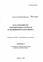 Бухгалтерский учет и формирование отчетности на предприятиях малого бизнеса - тема автореферата по экономике, скачайте бесплатно автореферат диссертации в экономической библиотеке