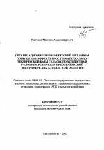 Организационно-экономический механизм повышения эффективности материально-технической базы сельского хозяйства в условиях рыночных преобразований - тема автореферата по экономике, скачайте бесплатно автореферат диссертации в экономической библиотеке