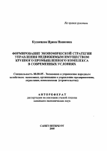 Формирование экономической стратегии управления недвижимым имуществом крупного промышленного комплекса в современных условиях - тема автореферата по экономике, скачайте бесплатно автореферат диссертации в экономической библиотеке