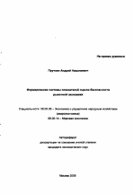 Формирование системы показателей оценки безопасности рыночной экономики - тема автореферата по экономике, скачайте бесплатно автореферат диссертации в экономической библиотеке