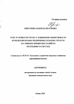 Роль трудовых ресурсов в повышении эффективности функционирования предпринимательских структур - тема автореферата по экономике, скачайте бесплатно автореферат диссертации в экономической библиотеке