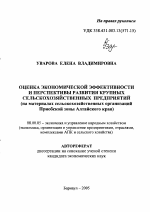 Оценка экономической эффективности и перспективы развития крупных сельскохозяйственных предприятий - тема автореферата по экономике, скачайте бесплатно автореферат диссертации в экономической библиотеке