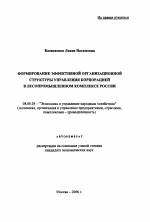 Формирование эффективной организационной структуры управления корпорацией в лесопромышленном комплексе России - тема автореферата по экономике, скачайте бесплатно автореферат диссертации в экономической библиотеке