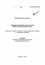 Совершенствование региональной инфраструктуры рынка труда - тема автореферата по экономике, скачайте бесплатно автореферат диссертации в экономической библиотеке