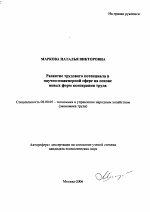 Развитие трудового потенциала в научно-инженерной сфере на основе новых форм кооперации труда - тема автореферата по экономике, скачайте бесплатно автореферат диссертации в экономической библиотеке