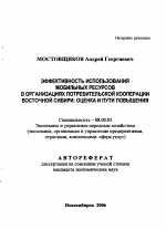 Эффективность использования мобильных ресурсов в организациях потребительской кооперации Восточной Сибири: оценка и пути повышения - тема автореферата по экономике, скачайте бесплатно автореферат диссертации в экономической библиотеке