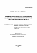 Формирование организационно-экономического механизма управления обеспеченностью услугами культуры населения в крупном городе - тема автореферата по экономике, скачайте бесплатно автореферат диссертации в экономической библиотеке