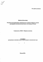 Развитие интеграционных связей малого и среднего бизнеса в целях расширения внешнеэкономического потенциала России - тема автореферата по экономике, скачайте бесплатно автореферат диссертации в экономической библиотеке