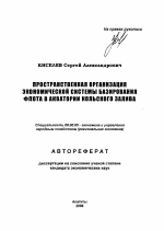 Пространственная организация экономической системы базирования флота в акватории Кольского залива - тема автореферата по экономике, скачайте бесплатно автореферат диссертации в экономической библиотеке