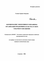 Формирование эффективного механизма организации предпринимательства в сфере товарного обращения - тема автореферата по экономике, скачайте бесплатно автореферат диссертации в экономической библиотеке