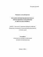 Механизм формирования персонала инновационного предприятия в сфере малого бизнеса - тема автореферата по экономике, скачайте бесплатно автореферат диссертации в экономической библиотеке
