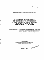 Формирование системы эффективного управления предприятиями химического комплекса региона в рыночных условиях - тема автореферата по экономике, скачайте бесплатно автореферат диссертации в экономической библиотеке