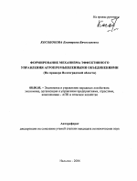 Формирование механизма эффективного управления агропромышленными объединениями - тема автореферата по экономике, скачайте бесплатно автореферат диссертации в экономической библиотеке