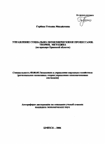 Управление социально-экономическими процессами - тема автореферата по экономике, скачайте бесплатно автореферат диссертации в экономической библиотеке