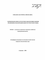 Формирование инфраструктурного обеспечения развития предпринимательской деятельности туристского рынка - тема автореферата по экономике, скачайте бесплатно автореферат диссертации в экономической библиотеке