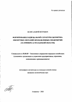 Формирование рациональной структуры экспортно-импортных операций промышленных предприятий - тема автореферата по экономике, скачайте бесплатно автореферат диссертации в экономической библиотеке