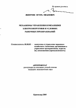 Механизмы управления компаниями электроэнергетики в условиях рыночных преобразований - тема автореферата по экономике, скачайте бесплатно автореферат диссертации в экономической библиотеке
