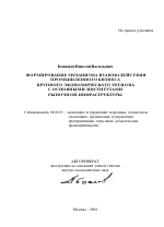 Формирование механизма взаимодействия промышленного бизнеса крупного экономического региона с основными институтами рыночной инфраструктуры - тема автореферата по экономике, скачайте бесплатно автореферат диссертации в экономической библиотеке