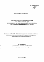 Организационно-экономический механизм интеграции предприятий агропромышленного комплекса на муниципальном уровне - тема автореферата по экономике, скачайте бесплатно автореферат диссертации в экономической библиотеке