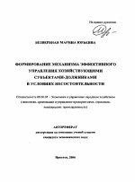 Формирование механизма эффективного управления хозяйствующими субъектами-должниками в условиях несостоятельности - тема автореферата по экономике, скачайте бесплатно автореферат диссертации в экономической библиотеке