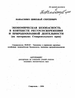 Экономическая безопасность в контексте ресурсосбережения и природоохранной деятельности - тема автореферата по экономике, скачайте бесплатно автореферат диссертации в экономической библиотеке