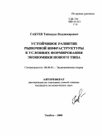 Устойчивое развитие рыночной инфраструктуры в условиях формирования экономики нового типа - тема автореферата по экономике, скачайте бесплатно автореферат диссертации в экономической библиотеке