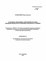 Разработка механизма управления малыми предприятиями в нестабильных рыночных условиях - тема автореферата по экономике, скачайте бесплатно автореферат диссертации в экономической библиотеке