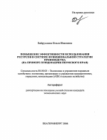 Повышение эффективности использования ресурсов в системе функциональной стратегии производства - тема автореферата по экономике, скачайте бесплатно автореферат диссертации в экономической библиотеке