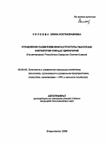 Управление развитием инфраструктуры рыночных институтов горных территорий - тема автореферата по экономике, скачайте бесплатно автореферат диссертации в экономической библиотеке