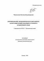 Формирование экономического механизма адаптации хозяйствующего субъекта к рыночной среде - тема автореферата по экономике, скачайте бесплатно автореферат диссертации в экономической библиотеке