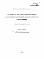 Финансовый контроль в системе стратегического управления социально-экономическим развитием России - тема автореферата по экономике, скачайте бесплатно автореферат диссертации в экономической библиотеке