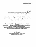 Организационно-экономический механизм обеспечения устойчивого функционирования малых наукоемких предприятий в условиях неопределенности и риска - тема автореферата по экономике, скачайте бесплатно автореферат диссертации в экономической библиотеке