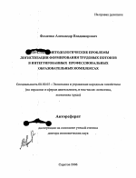 Теоретико-методологические проблемы логистизации формирования трудовых потоков в интегрированных профессиональных образовательных комплексах - тема автореферата по экономике, скачайте бесплатно автореферат диссертации в экономической библиотеке