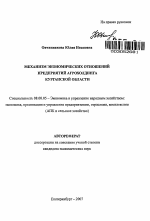 Механизм экономических отношений предприятий агрохолдинга Курганской области - тема автореферата по экономике, скачайте бесплатно автореферат диссертации в экономической библиотеке