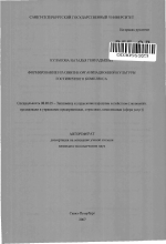 Формирование и развитие организационной культуры гостиничного комплекса - тема автореферата по экономике, скачайте бесплатно автореферат диссертации в экономической библиотеке