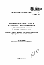 Формирование механизма адаптивного организационного поведения персонала в промышленных корпорациях - тема автореферата по экономике, скачайте бесплатно автореферат диссертации в экономической библиотеке