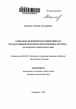 Социально-экономическая эффективность государственной политики в мезоуровневых системах - тема автореферата по экономике, скачайте бесплатно автореферат диссертации в экономической библиотеке