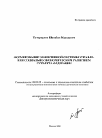 Формирование эффективной системы управления социально-экономическим развитием субъекта федерации - тема автореферата по экономике, скачайте бесплатно автореферат диссертации в экономической библиотеке