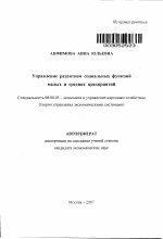 Управление развитием социальных функций малых и средних предприятий - тема автореферата по экономике, скачайте бесплатно автореферат диссертации в экономической библиотеке