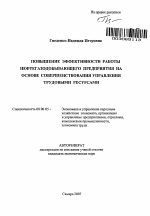 Повышение эффективности работы нефтегазодобывающего предприятия на основе совершенствования управления трудовыми ресурсами - тема автореферата по экономике, скачайте бесплатно автореферат диссертации в экономической библиотеке