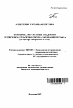 Формирование системы поддержки предпринимательского сектора экономики региона - тема автореферата по экономике, скачайте бесплатно автореферат диссертации в экономической библиотеке