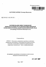 Формирование инвестиционной привлекательности телекоммуникационной компании в региональной экономической среде - тема автореферата по экономике, скачайте бесплатно автореферат диссертации в экономической библиотеке