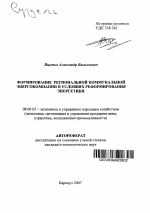 Формирование региональной коммунальной энергокомпании в условиях реформирования энергетики - тема автореферата по экономике, скачайте бесплатно автореферат диссертации в экономической библиотеке