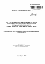 Организационно-экономические основы обеспечения конкурентоспособности специалистов сельского хозяйства на региональном рынке труда - тема автореферата по экономике, скачайте бесплатно автореферат диссертации в экономической библиотеке